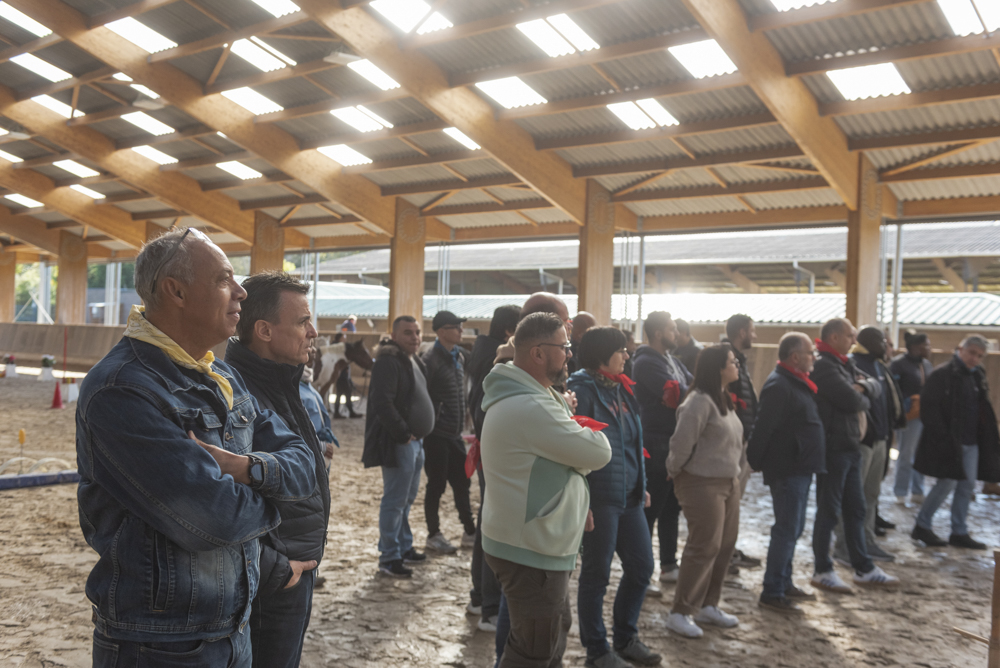 séminaire facilité par le cheval